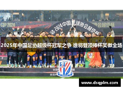 2025年中国足协超级杯冠军之争 谁将登顶捧杯笑傲全场